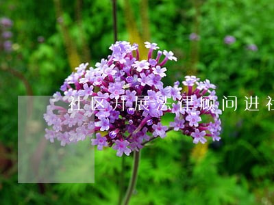 社区开展法律顾问进社区