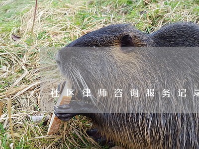 社区律师咨询服务记录 社区律师咨询服务记录