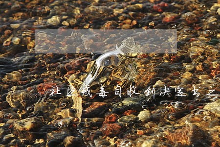 社区戒毒自收到决定书之日起逾期