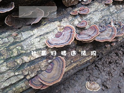 社区扫楼违法吗