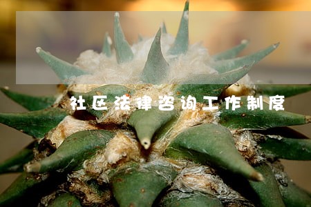 社区法律咨询工作制度 社区法律咨询工作制度