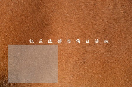 社区法律咨询日活动