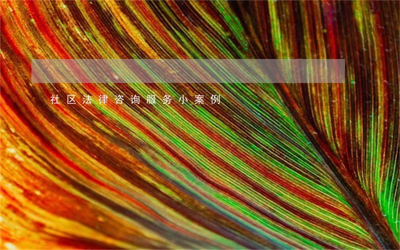 社区法律咨询服务小案例 社区法律咨询服务小案例