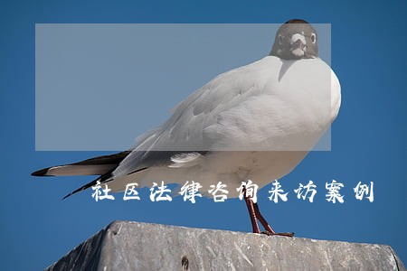 社区法律咨询来访案例 社区法律咨询来访案例