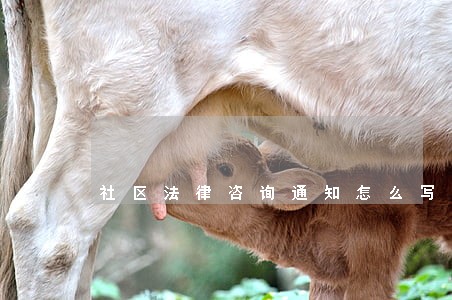 社区法律咨询通知怎么写 社区法律咨询通知怎么写