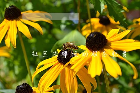 社区法律援助服务职责