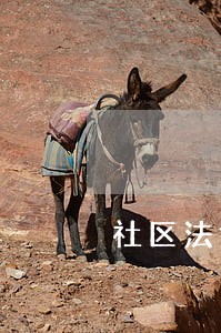 社区法律援助案列 社区法律援助案列