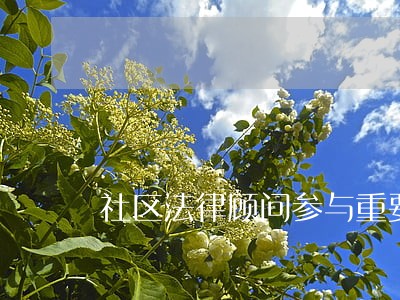 社区法律顾问参与重要决策制度 社区法律顾问参与重要决策制度