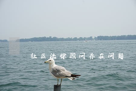 社区法律顾问存在问题 社区法律顾问存在问题