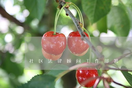 社区法律顾问工作部署 社区法律顾问工作部署