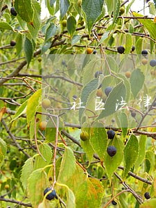 社区法律顾问报价 社区法律顾问报价