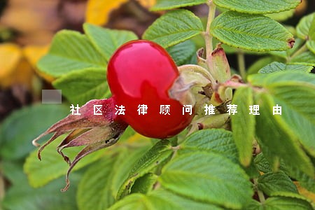 社区法律顾问推荐理由 社区法律顾问推荐理由