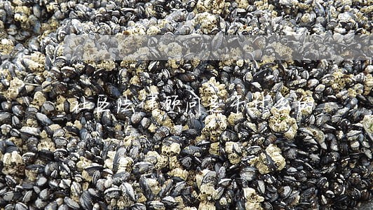 社区法律顾问是干什么的 社区法律顾问是干什么的