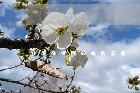 社区法律顾问服务范围