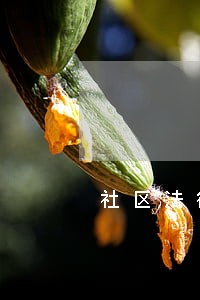 社区法律顾问法治作用 社区法律顾问法治作用