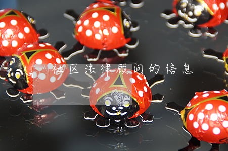 社区法律顾问的信息