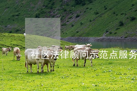 社区法律顾问示范点服务制度 社区法律顾问示范点服务制度