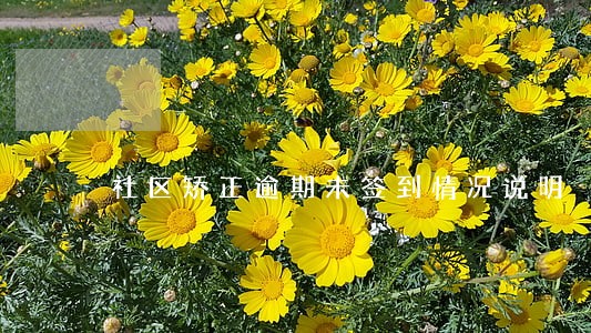 社区矫正逾期未签到情况说明 社区矫正逾期未签到情况说明