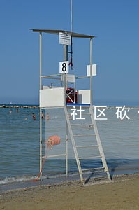 社区砍伐树木违法吗 社区砍伐树木违法吗