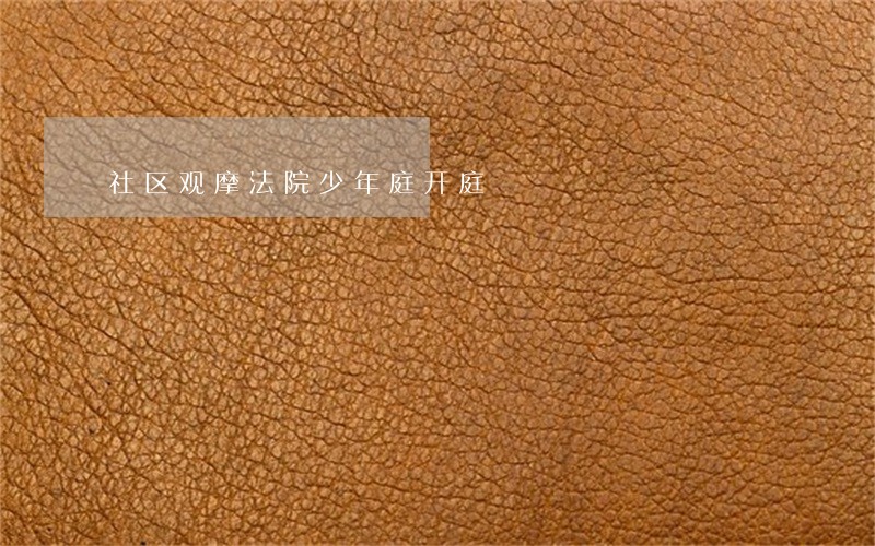 社区观摩法院少年庭开庭 社区观摩法院少年庭开庭