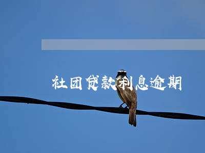 社团贷款利息逾期 社团贷款利息逾期
