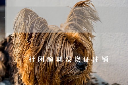 社团逾期没换证注销 社团逾期没换证注销