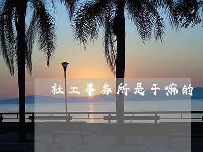 社工事务所是干嘛的 社工事务所是干嘛的