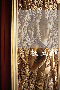 社工介入家暴离婚案例服务计划