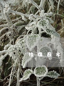 社旗县水利电力在线律师 社旗县水利电力在线律师
