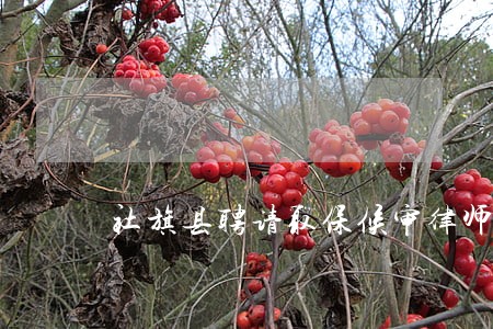 社旗县聘请取保候审律师 社旗县聘请取保候审律师