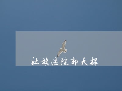 社旗法院郭天辉 社旗法院郭天辉