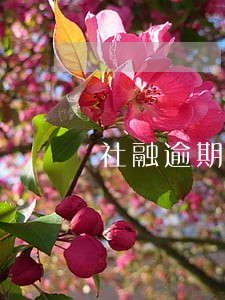 社融逾期如何解决 社融逾期如何解决
