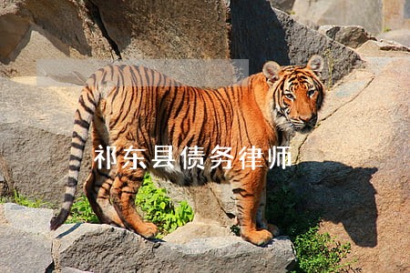 祁东县债务律师 祁东县债务律师