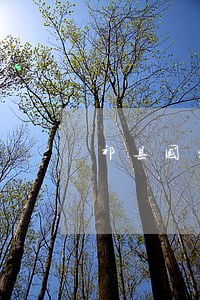 祁县国家赔偿律师在线免费咨询 祁县国家赔偿律师在线免费咨询