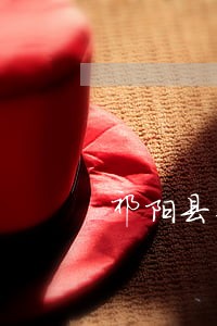 祁阳县个人独资在线律师 祁阳县个人独资在线律师