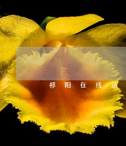 祁阳在线法律援助平台 祁阳在线法律援助平台