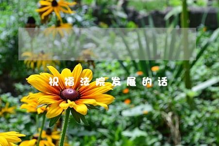 祝福法院发展的话 祝福法院发展的话