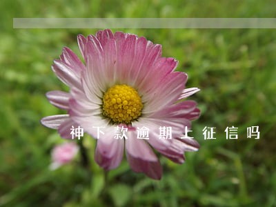 神下款逾期上征信吗 神下款逾期上征信吗