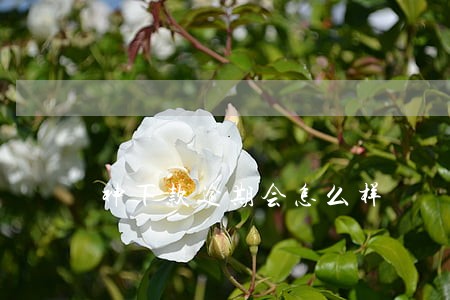 神下款逾期会怎么样 神下款逾期会怎么样