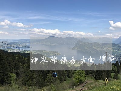 神农架债务方面律师 神农架债务方面律师