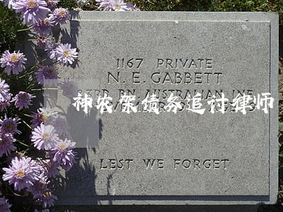 神农架债务追讨律师 神农架债务追讨律师