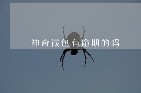 神奇钱包有逾期的吗 神奇钱包有逾期的吗
