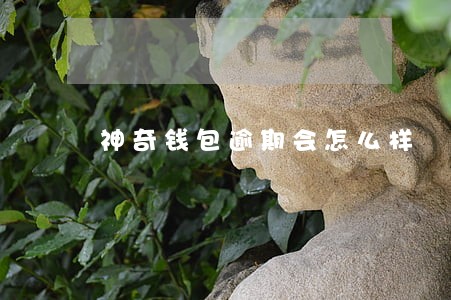 神奇钱包逾期会怎么样 神奇钱包逾期会怎么样