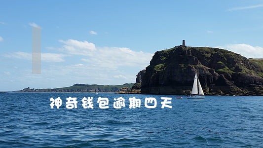 神奇钱包逾期四天