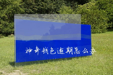 神奇钱包逾期怎么办 神奇钱包逾期怎么办