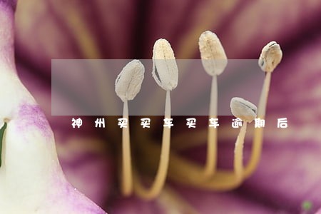 神州买买车买车逾期后 神州买买车买车逾期后