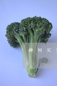 神州买买车月供能逾期几天