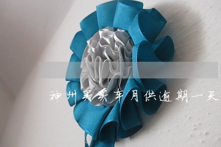 神州买买车月供逾期一天 神州买买车月供逾期一天