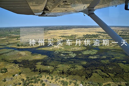 神州买买车月供逾期一天怎么办 神州买买车月供逾期一天怎么办