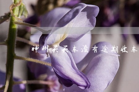 神州买买车没有逾期收车 神州买买车没有逾期收车